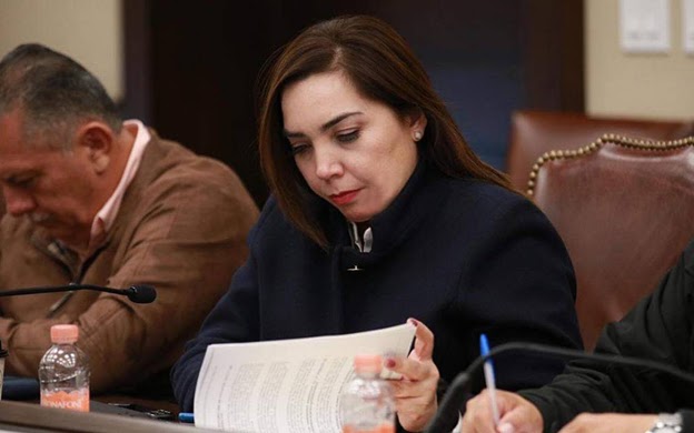 Se reúne Paola Cota con el gobernador Víctor Castro