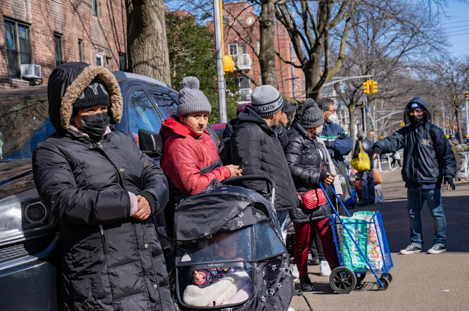 En Nueva York, juez bloquea nuevas reglas para cupones de vivienda Captura de pantalla del sitio web Sufragio.