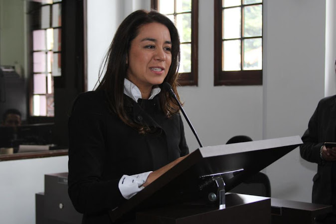 Millonarios recursos sin ejecutar en alcaldías locales a punto de finalizar 2024, concejal Diana Diago Retrato de Diana Diago sonriendo.