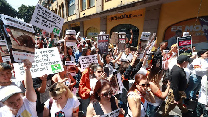 CDMX avanza en la regulación taurina: prohíben corridas con maltrato animal