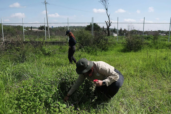 México recurre a la ciencia y tecnología para buscar a sus desaparecidos Fondo de paisaje urbano moderno y vibrante.