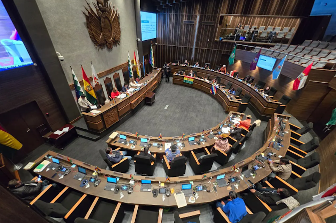 Senadores bolivianos advierten fallas en ley para designación de vocales del TSE Captura de pantalla del 29 de agosto de 2025.