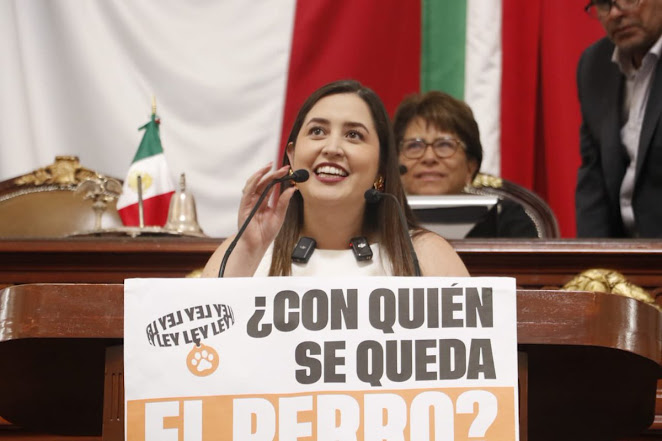 CDMX permite definir la custodia de mascotas en divorcios Diseño abstracto colorido y vibrante.