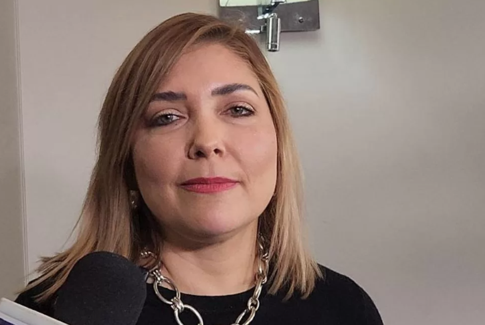 Ana Paola Hall asumirá la presidencia del CNE Honduras este jueves Captura de pantalla del sitio web Sufragio.