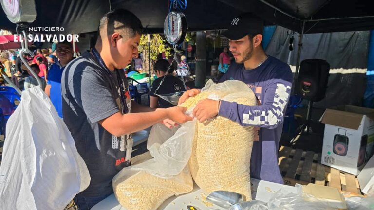 Gobierno habilita puntos de venta de maíz a precio accesible