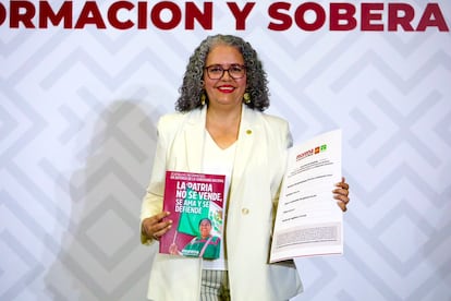 Graciela Domínguez asume como gobernadora interina de Sinaloa
