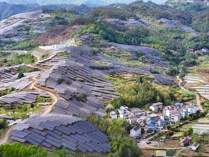 China ajusta desarrollo solar para proteger aves y biodiversidad China ajusta desarrollo solar para proteger aves y biodiversidad