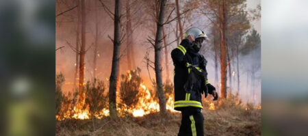 Incendio en High Fens, Bélgica: 3,000 hectáreas arrasadas